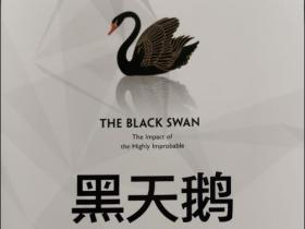 英伦金融+黑石集团+英为财情|盘点2022年“黑天鹅”事件