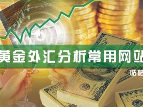 黄金外汇分析常用的网站和工具推荐