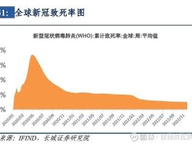2023年 国内大事件八大预测