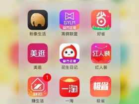 各优惠券领券购物返佣平台app的优缺点对比和推荐排行