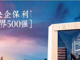 中国十大军火贸易公司 保利集团在列