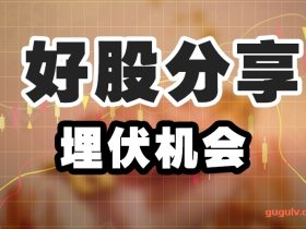 好股分享 cpo概念a股中唯一有硅光芯片生产能力的企业