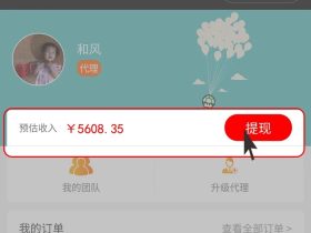 【6】优惠券拼多客查看订单数据，团队信息和提现操作
